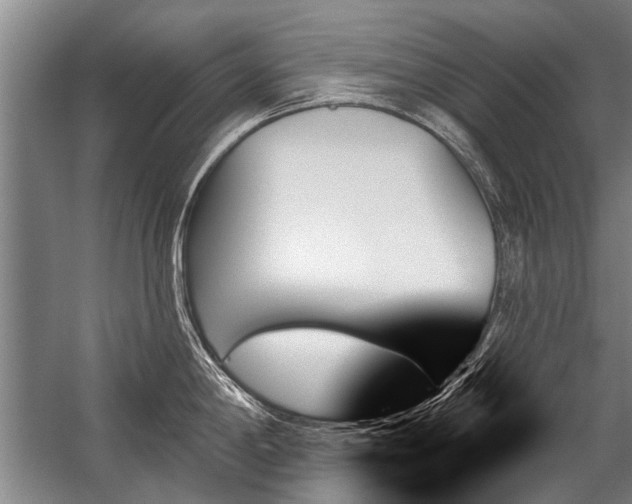 X0000059061198200510071034