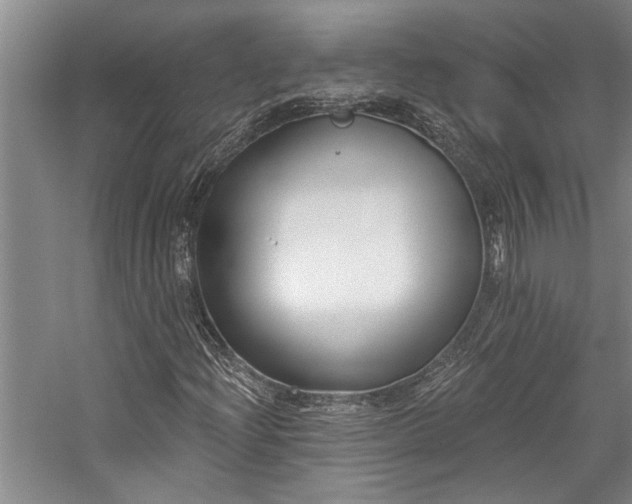 X0000059061204200510071033