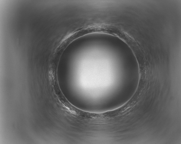 X0000059061206200510071033