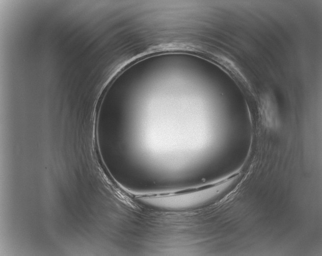 X0000059061228200510071033