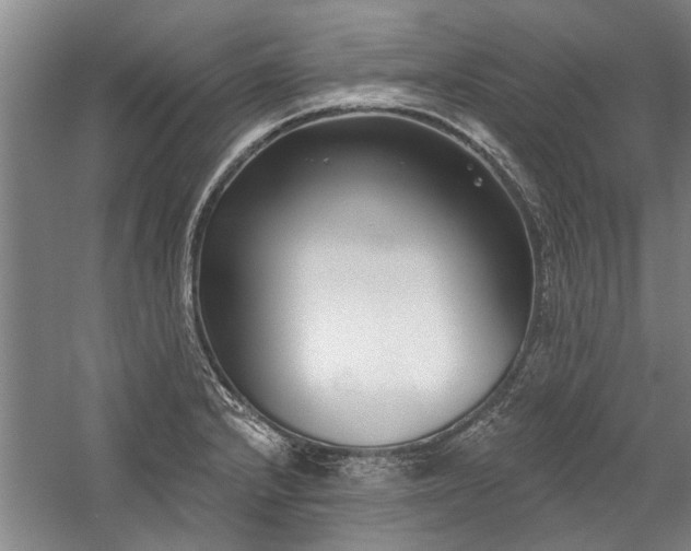 X0000059061232200510071033