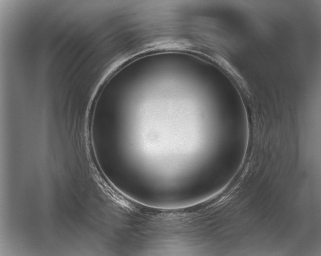X0000059061240200510071033