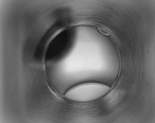 X0000059061241200510071033
