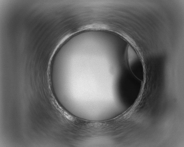 X0000059061248200510071034