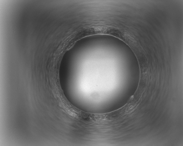 X0000059061249200510071033