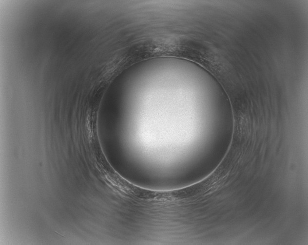 X0000059061250200510071033