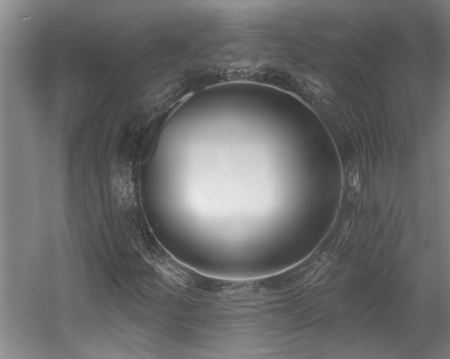 X0000059061252200510071033