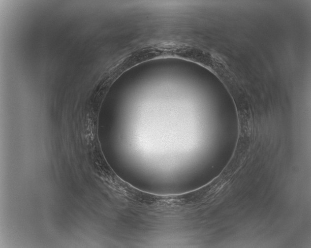 X0000059061253200510071033