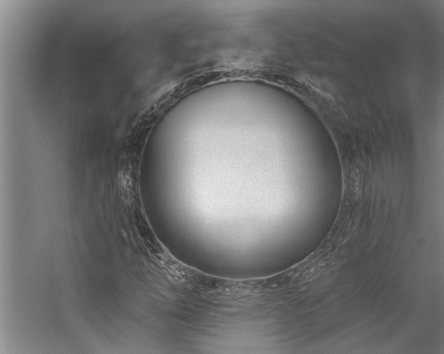 X0000059061254200510071033