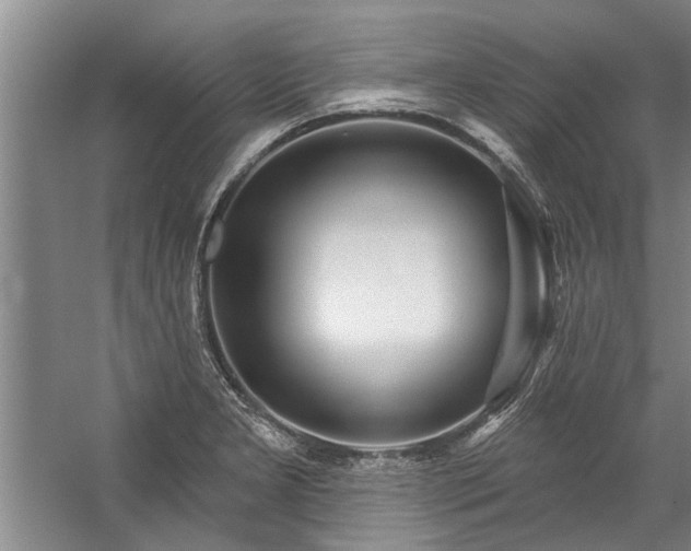 X0000059061277200510071032