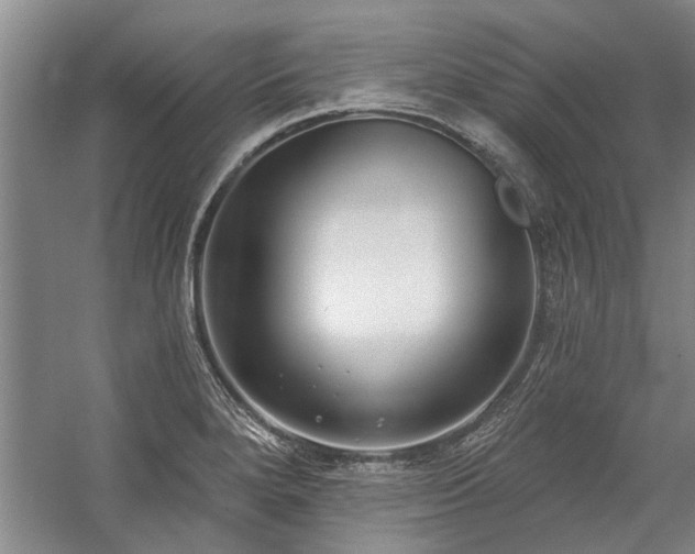 X0000059061280200510071032