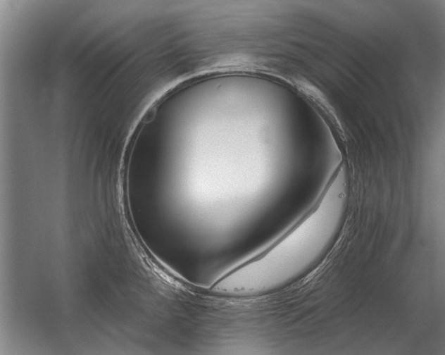 X0000059061288200510071032