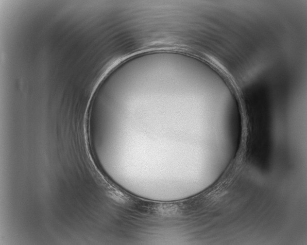 X0000059061291200510071032