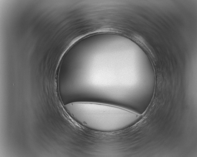 X0000059061292200510071032