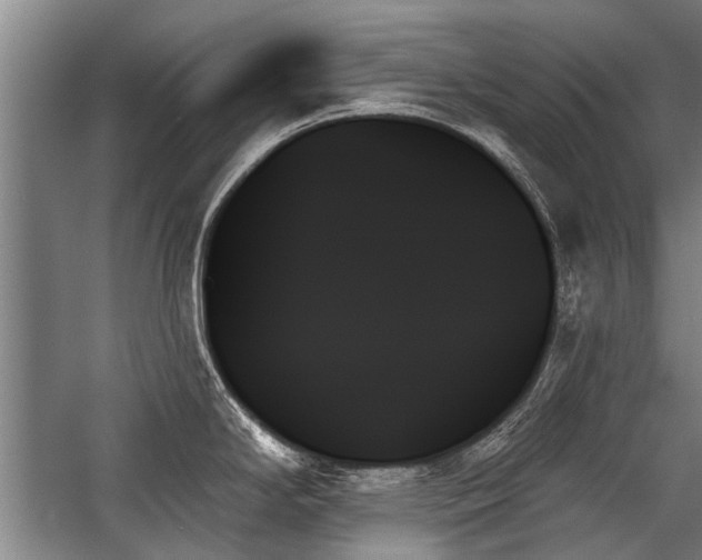 X0000059061294200510071032