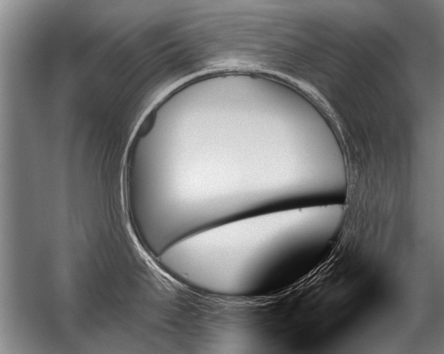 X0000059061295200510071032