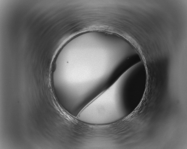 X0000059061296200510071032