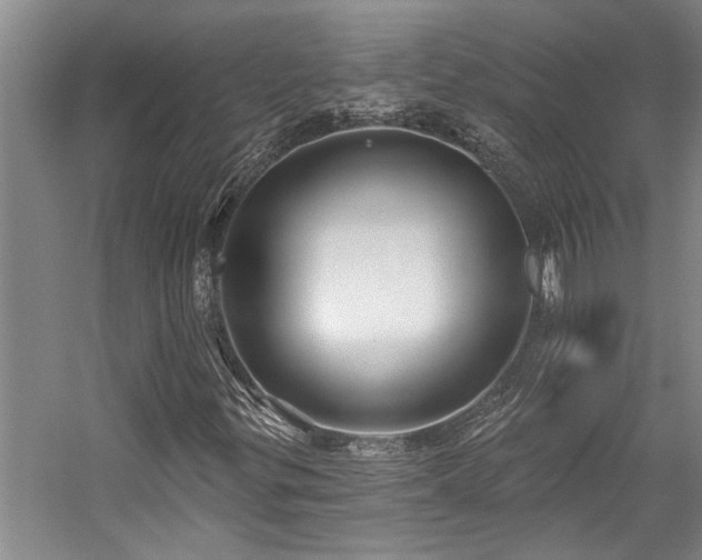 X0000059061299200510071031