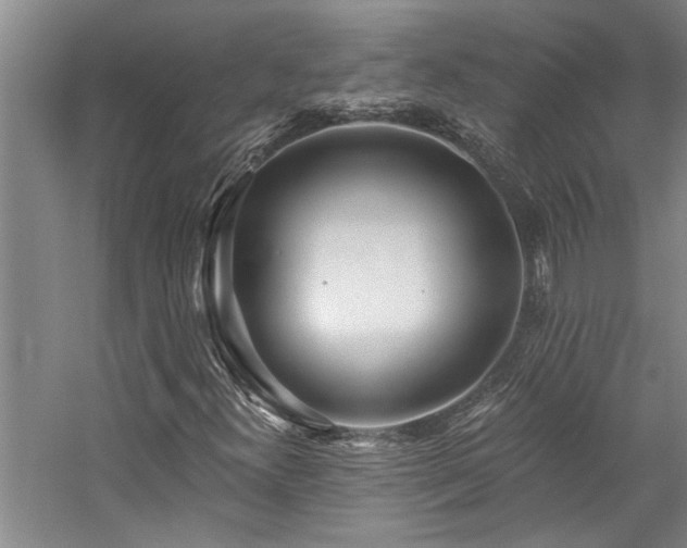 X0000059061300200510071031