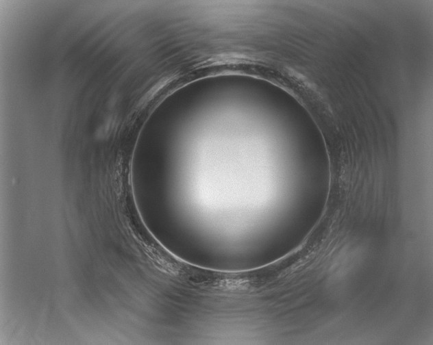 X0000059061313200510071031