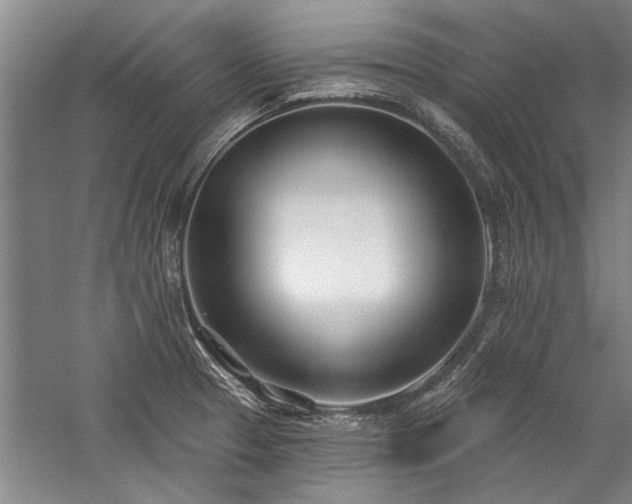 X0000059061329200510071032