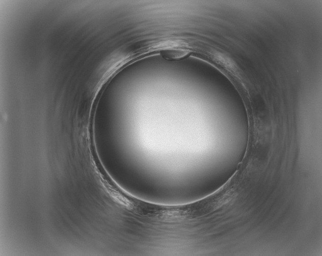 X0000059061330200510071032