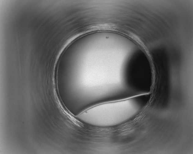 X0000059061339200510071032