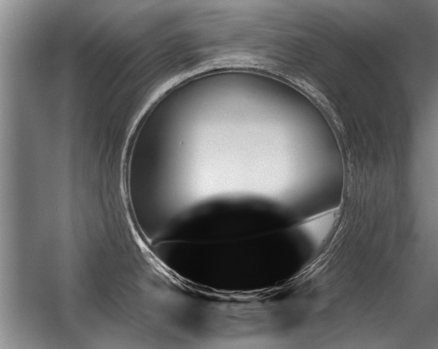 X0000059061342200510071032