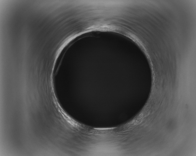 X0000059061344200510071032