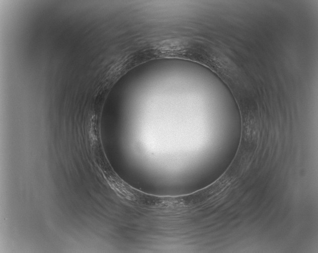 X0000059061346200510071031