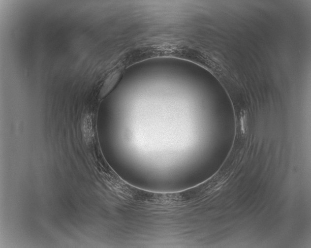 X0000059061347200510071031