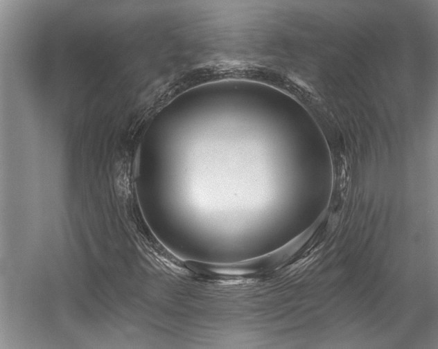 X0000059061348200510071031