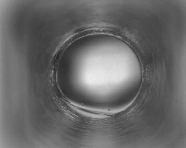 X0000059061352200510071031