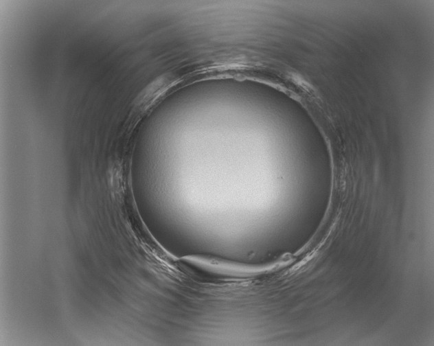 X0000059061353200510071031