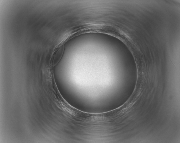 X0000059061354200510071031
