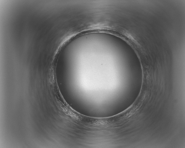 X0000059061358200510071031