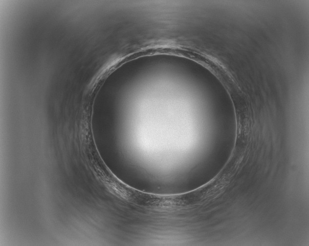 X0000059061359200510071031
