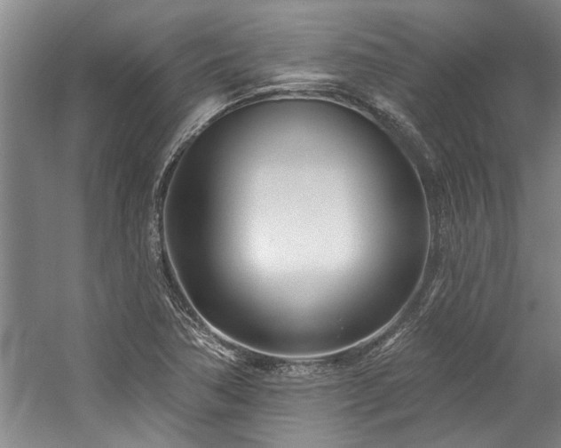 X0000059061362200510071031