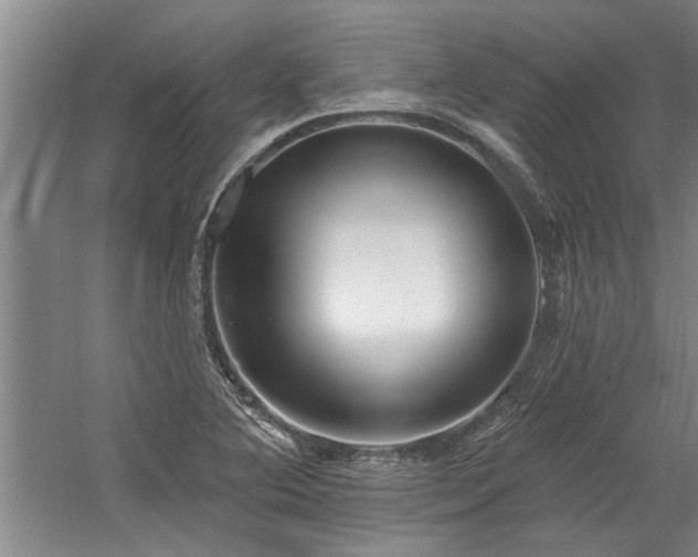 X0000059061364200510071031
