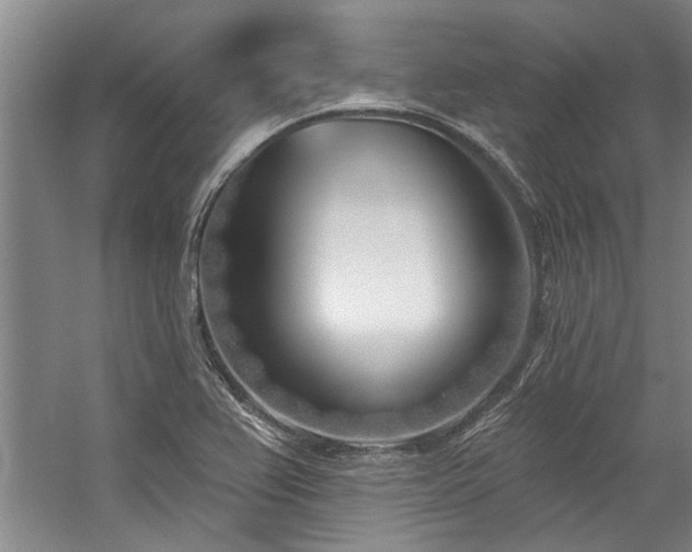 X0000059061367200510071031