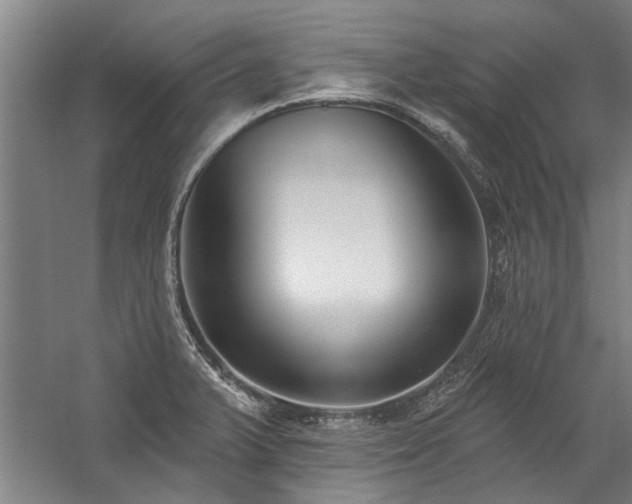 X0000059061375200510071031