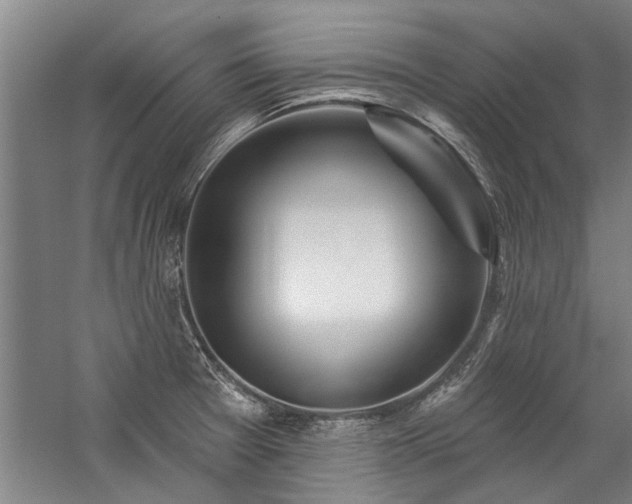 X0000059061377200510071031