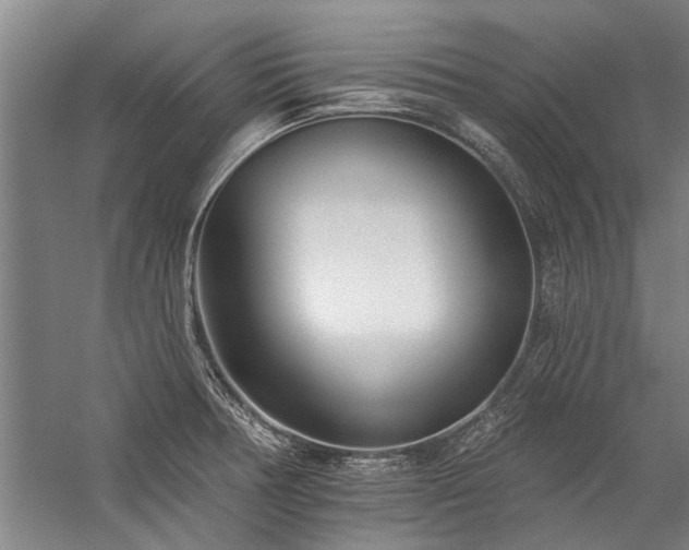 X0000059061378200510071031