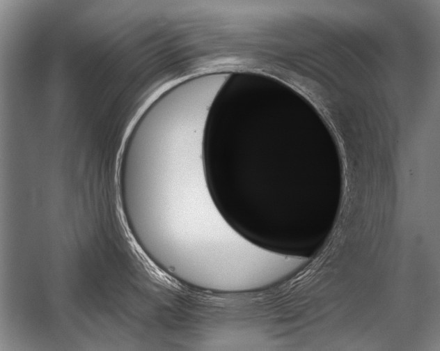 X0000059061392200510071030