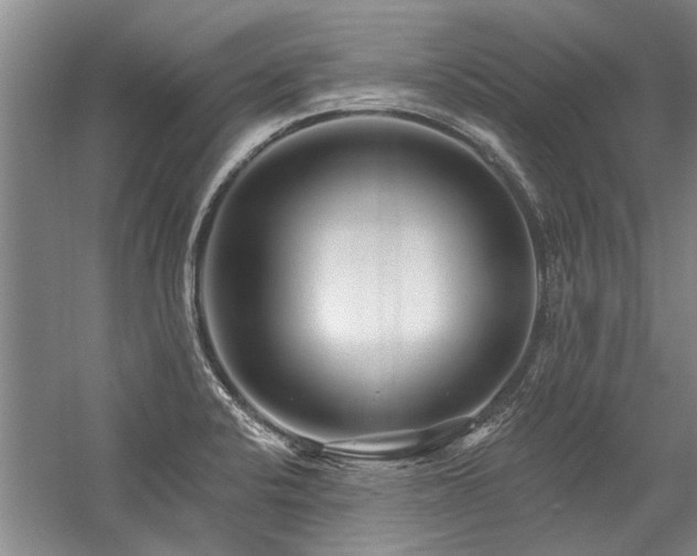 X0000059061424200510071030