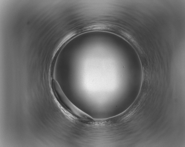 X0000059061426200510071030