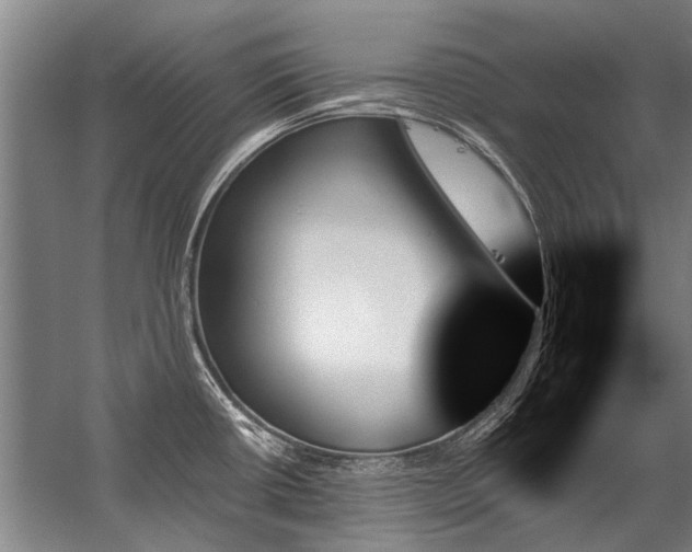 X0000059061434200510071030
