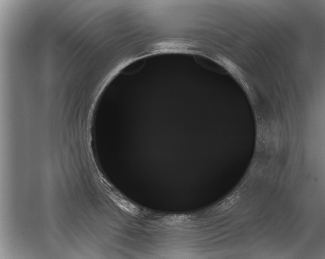 X0000059061435200510071030