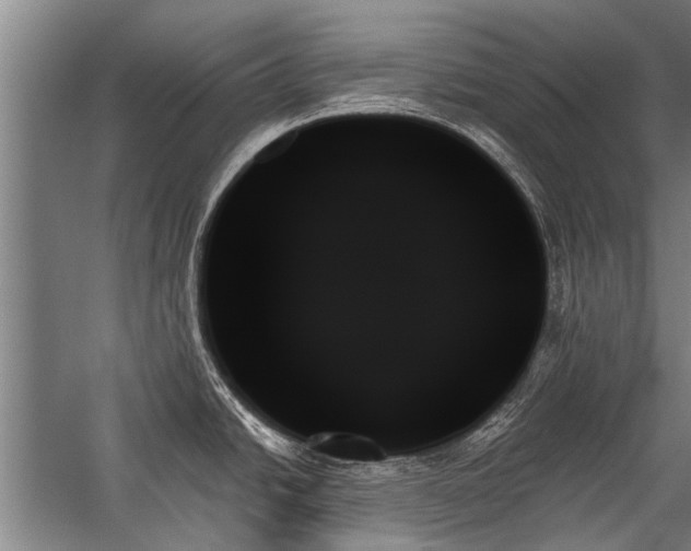 X0000059061438200510071030