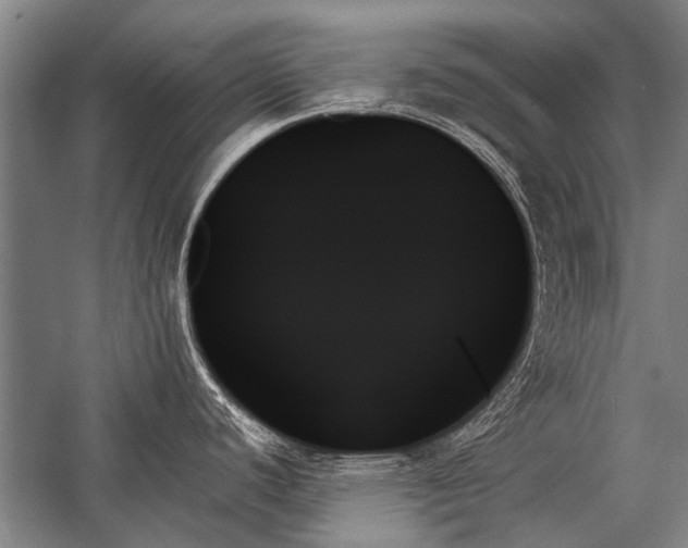 X0000059061440200510071030
